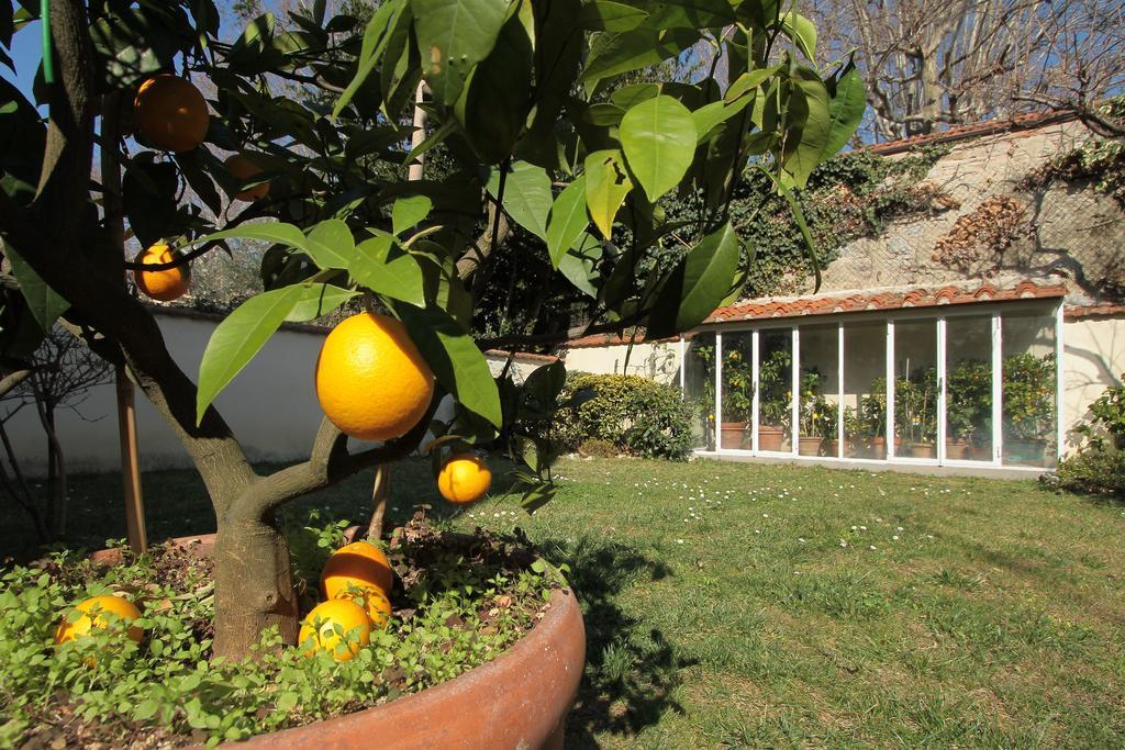 Il Diospero B&B Florenz Exterior foto